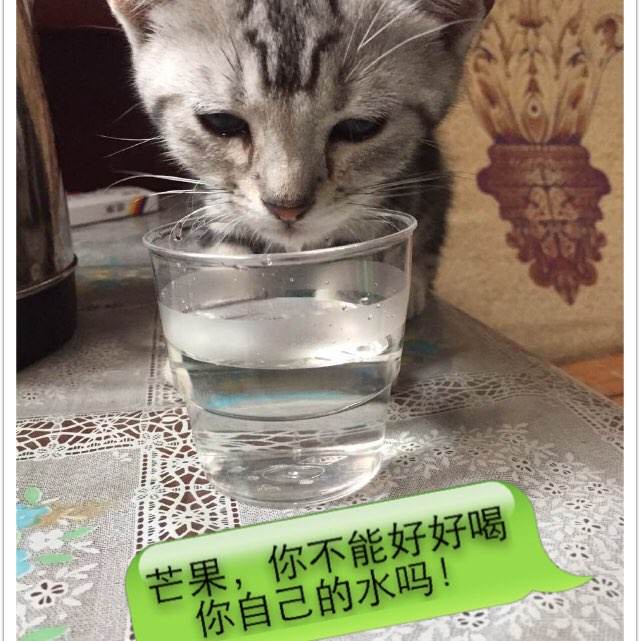 哪里能办特种设备安装改造许可证